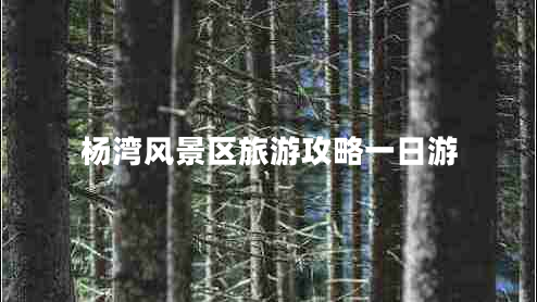 楊灣風(fēng)景區(qū)旅游攻略一日游