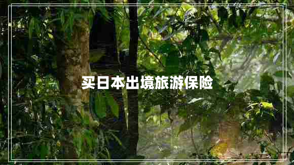 買日本出境旅游保險(xiǎn)