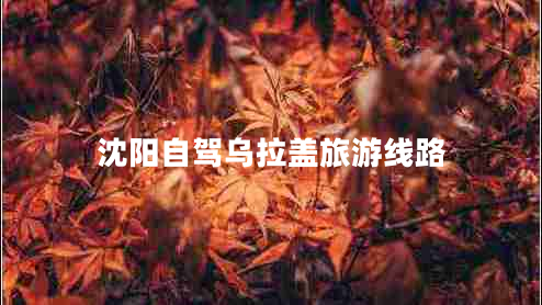沈陽自駕烏拉蓋旅游線路