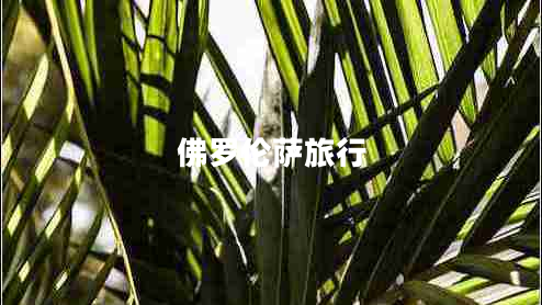 佛羅倫薩旅行