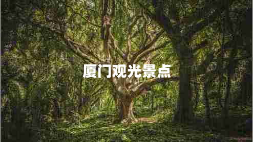廈門(mén)觀(guān)光景點(diǎn)