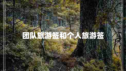 團(tuán)隊(duì)旅游簽和個(gè)人旅游簽