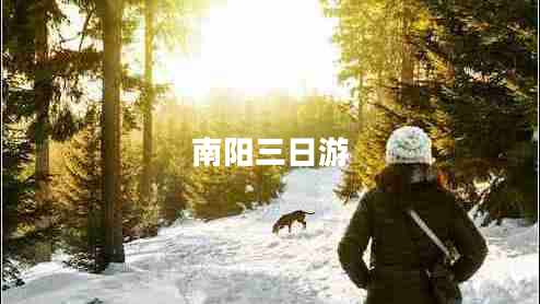 南陽三日游