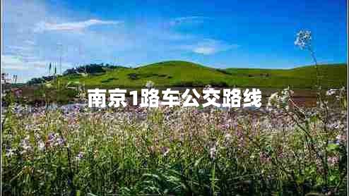 南京1路車(chē)公交路線(xiàn)