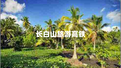 長(zhǎng)白山旅游高鐵