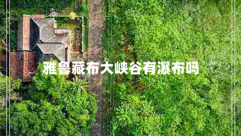 雅魯藏布大峽谷有瀑布嗎