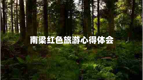 南梁紅色旅游心得體會(huì )