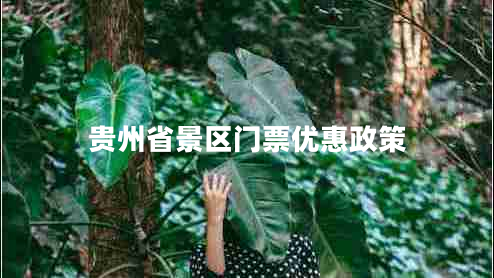 貴州省景區門(mén)票優(yōu)惠政策
