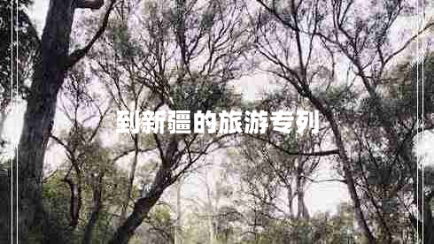 到新疆的旅游專(zhuān)列