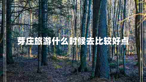 芽莊旅游什么時候去比較好點(diǎn)