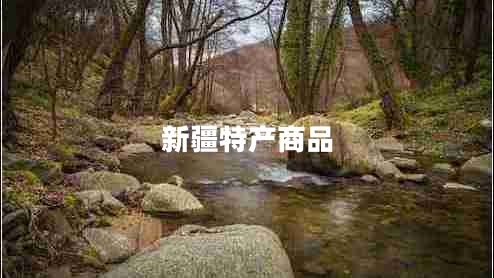 新疆特產商品