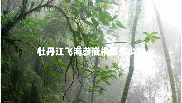 牡丹江飛海參崴機票多少錢(qián)