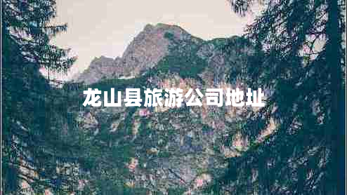 龍山縣旅游公司地址