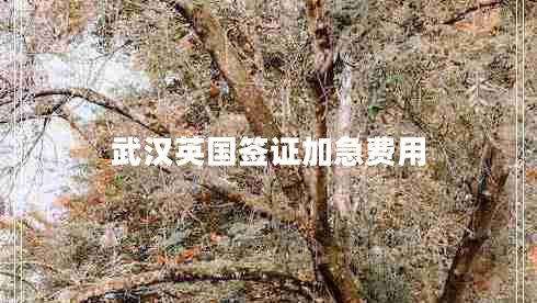 武漢英國(guó)簽證加急費(fèi)用