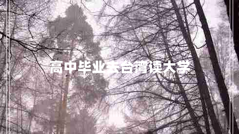 高中畢業(yè)去臺灣讀大學