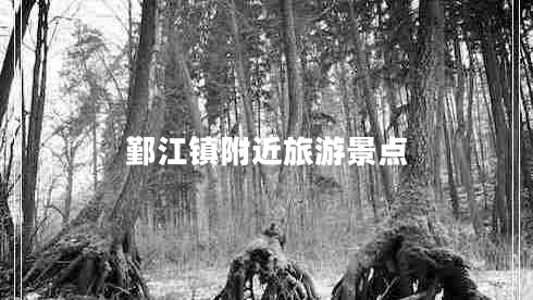 鄞江鎮(zhèn)附近旅游景點(diǎn)
