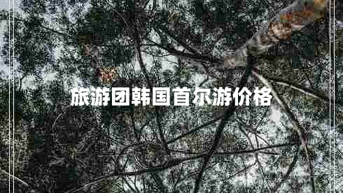 旅游團(tuán)韓國(guó)首爾游價(jià)格