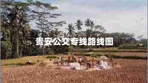 貴安公交專(zhuān)線(xiàn)路線(xiàn)圖