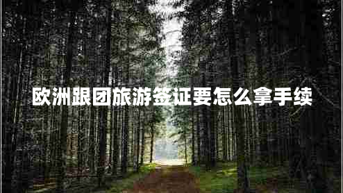歐洲跟團(tuán)旅游簽證要怎么拿手續(xù)
