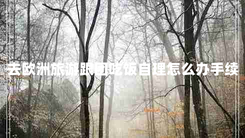 去歐洲旅游跟團吃飯自理怎么辦手續