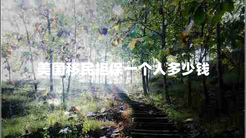 美國移民擔(dān)保一個(gè)人多少錢