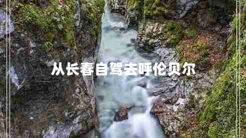 從長春自駕去呼倫貝爾