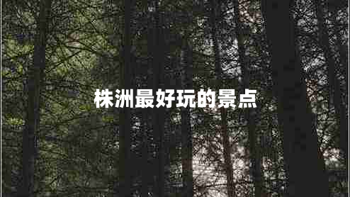 株洲最好玩的景點