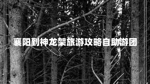 襄陽(yáng)到神龍架旅游攻略自助游團