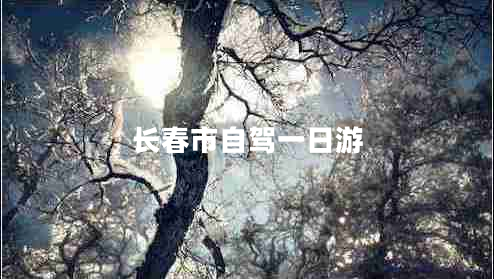 長(cháng)春市自駕一日游
