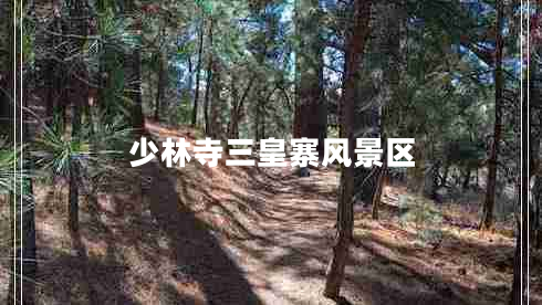 少林寺三皇寨風(fēng)景區(qū)