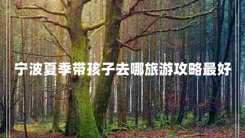 寧波夏季帶孩子去哪旅游攻略最好