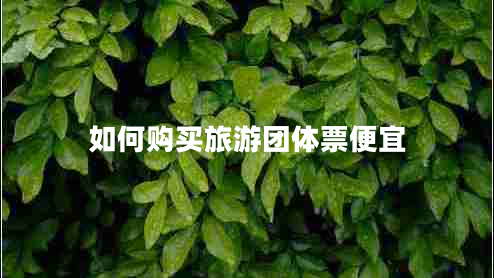 如何購買旅游團(tuán)體票便宜