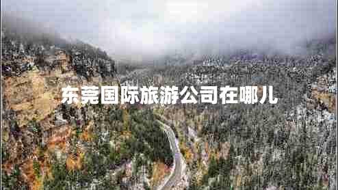 東莞國際旅游公司在哪兒