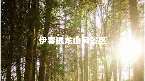 伊春透龍山風(fēng)景區(qū)
