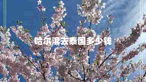 哈爾濱去泰國多少錢(qián)