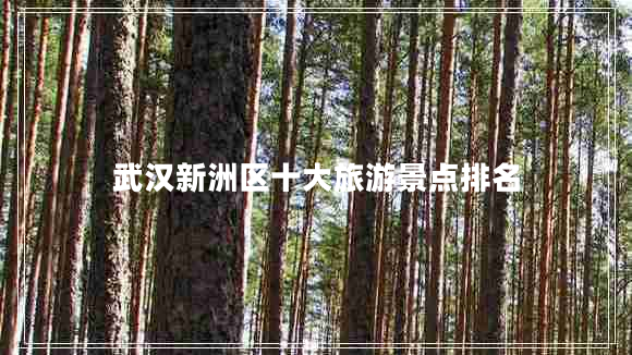 武漢新洲區(qū)十大旅游景點排名
