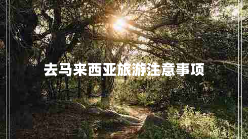 去馬來西亞旅游注意事項
