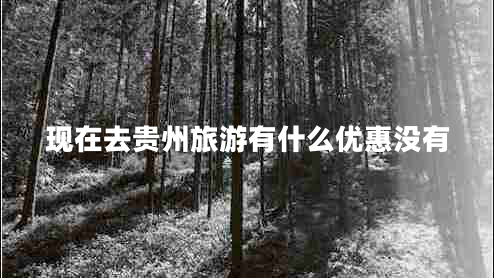 現(xiàn)在去貴州旅游有什么優(yōu)惠沒(méi)有