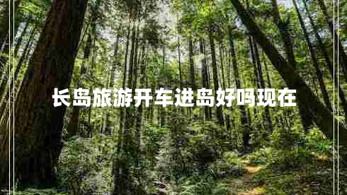 長島旅游開車進島好嗎現(xiàn)在