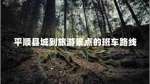 平順縣城到旅游景點(diǎn)的班車路線