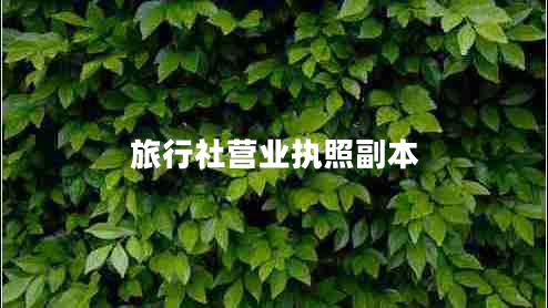 旅行社營(yíng)業(yè)執(zhí)照副本