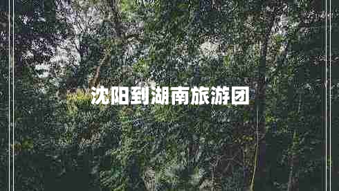 沈陽到湖南旅游團(tuán)