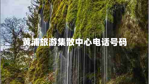 黃浦旅游集散中心電話號(hào)碼