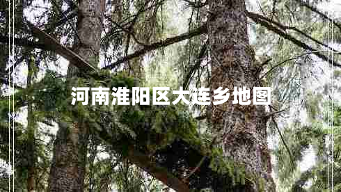 河南淮陽區(qū)大連鄉(xiāng)地圖