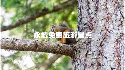 永城免費(fèi)旅游景點(diǎn)