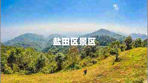 鹽田區(qū)景區(qū)