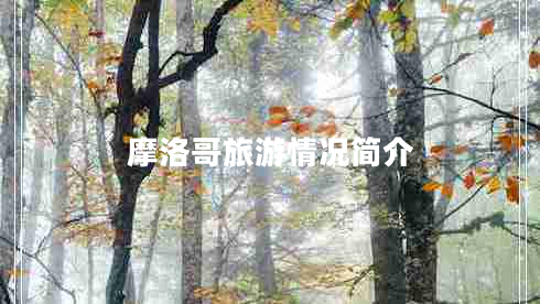 摩洛哥旅游情況簡介