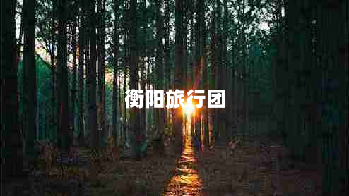 衡陽旅行團(tuán)