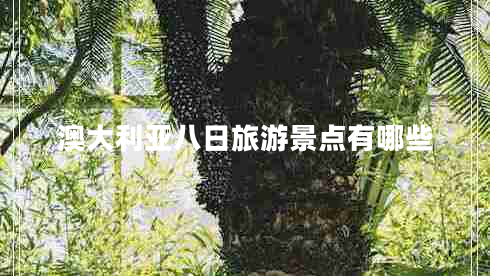 澳大利亞八日旅游景點(diǎn)有哪些