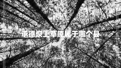 承德壩上草原屬于哪個縣